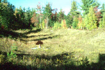 Detention pond with outlet riser