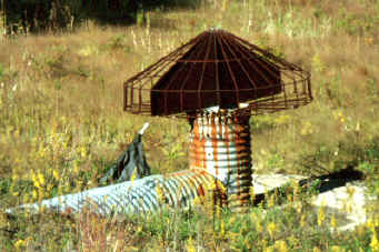 Riser with side openings, trash rack, and anti-vortex plate