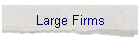 Large Firms